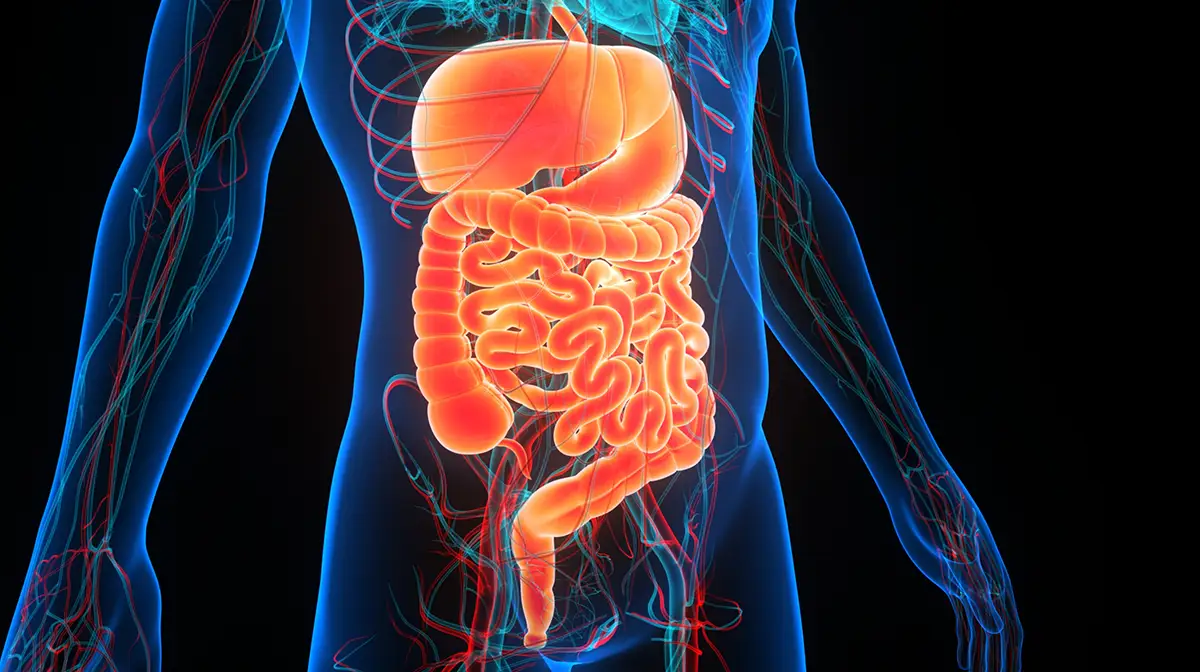 What causes diarrhea? Should-you-let-diarrhea-run-its-course? Answers from your local urgent care